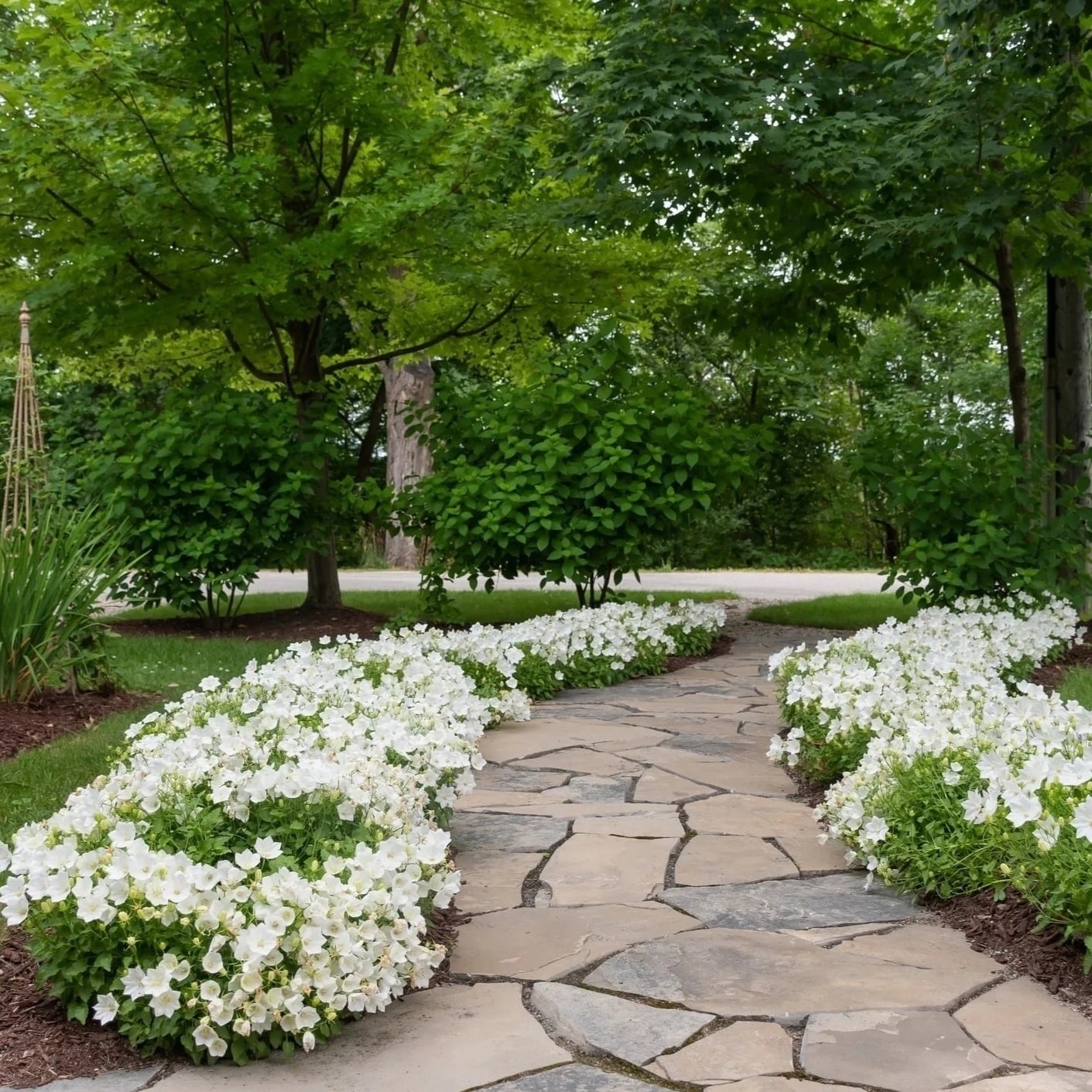 Flagstone Garden Path